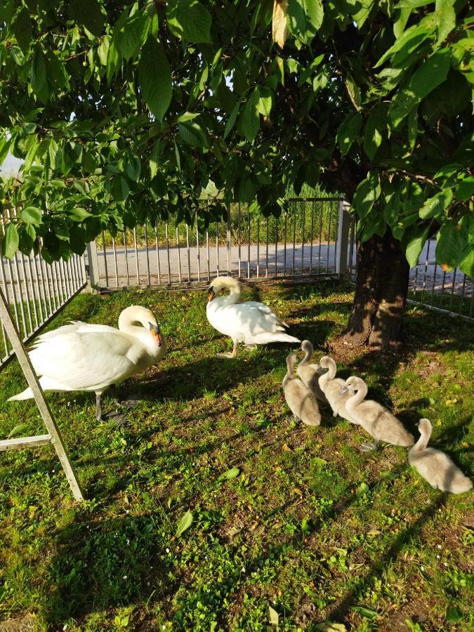 Na Jezeru Apartma Zagreb